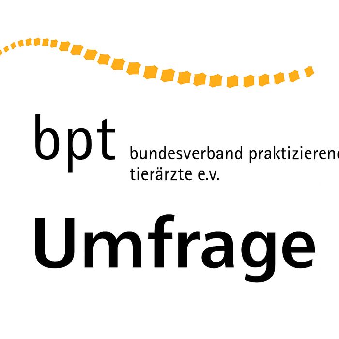 img bpt umfrage
