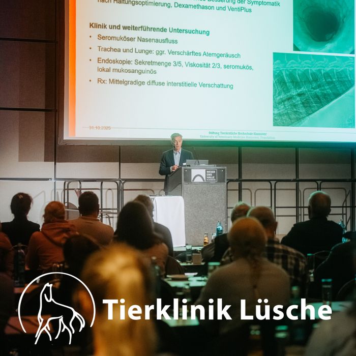 Img oldenburger kongress 2026