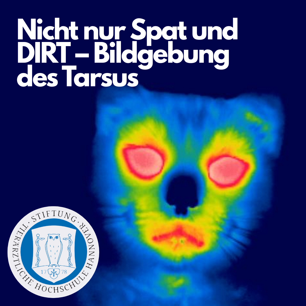 Nicht nur Spat und DIRT Bildgebung des Tarsus