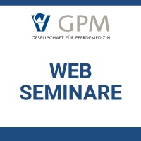 kategorie_bild-web-seminar
