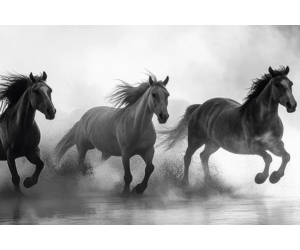 produktbild_roentgenleitfaden_2026