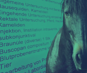 webinarbild_shop_got