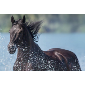 GPM - Kauf­untersuchung­svertrag Block