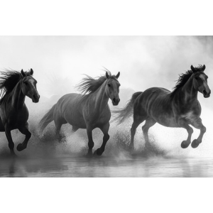 produktbild_roentgenleitfaden_2026