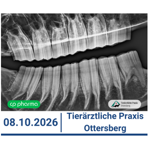 ticket_tagesseminar_kopfrx_2026_3