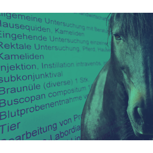 webinarbild_shop_got