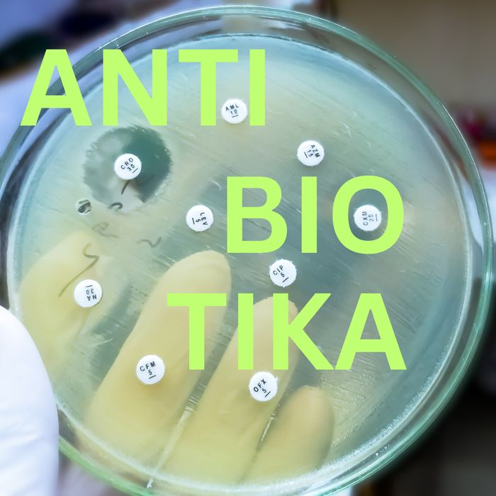 img antibiotika