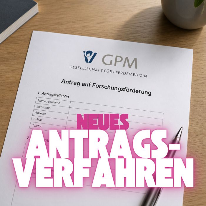 img antrag forschungsfoerderung