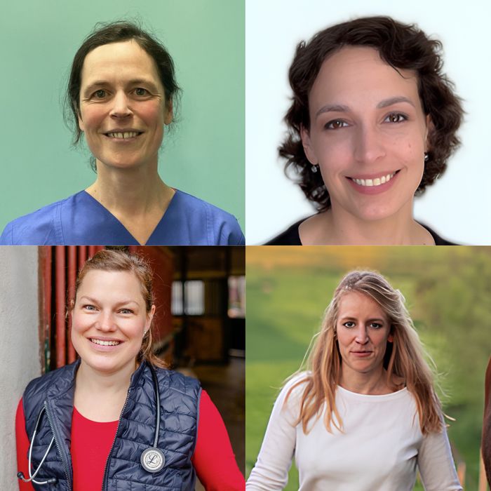 img ausschuss forschung