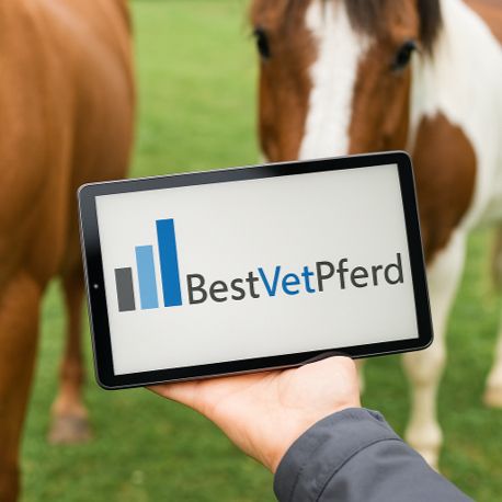 img bestvetpferd