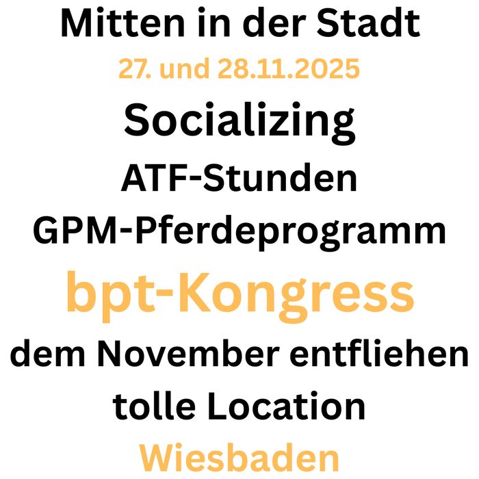 img bpt wiesbaden