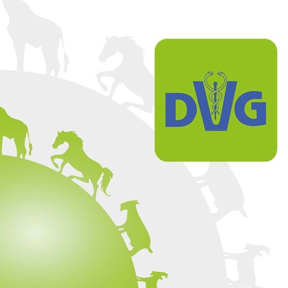 img dvg