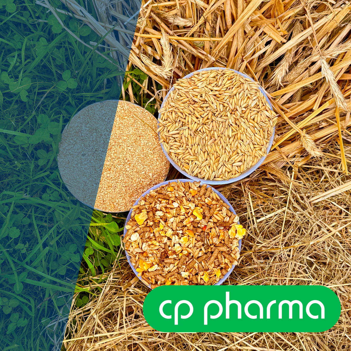 img fuetterung cppharma