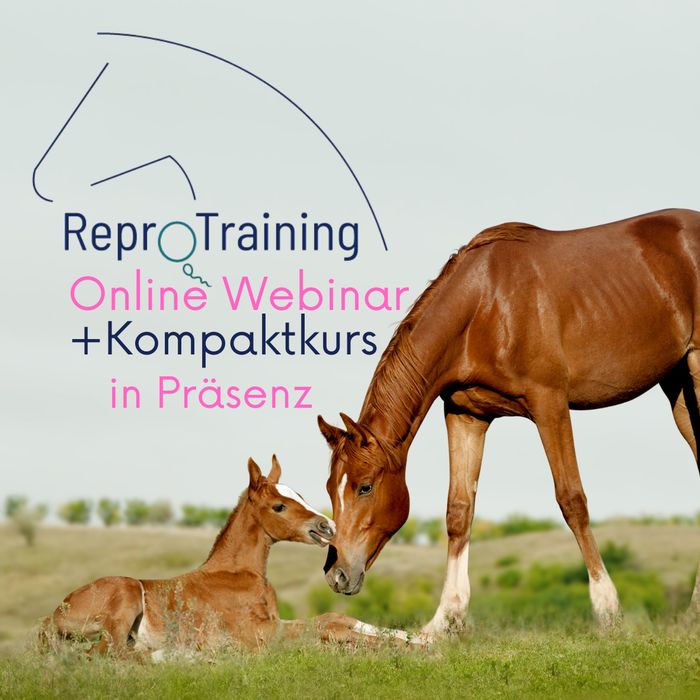 img reprotraining