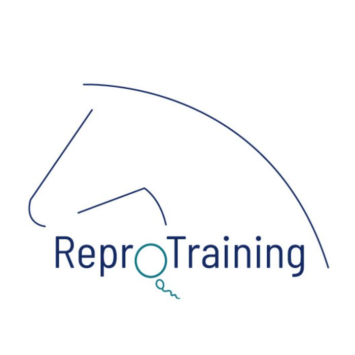 img reprotraining logo