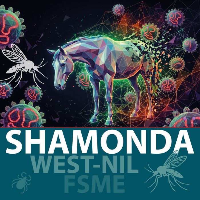 img shamonda webinar