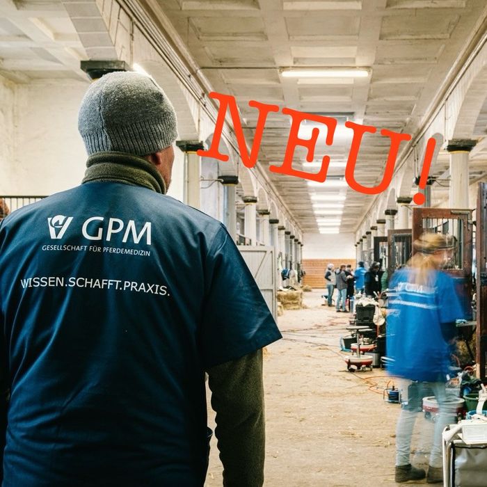 img stallbehandlung celle