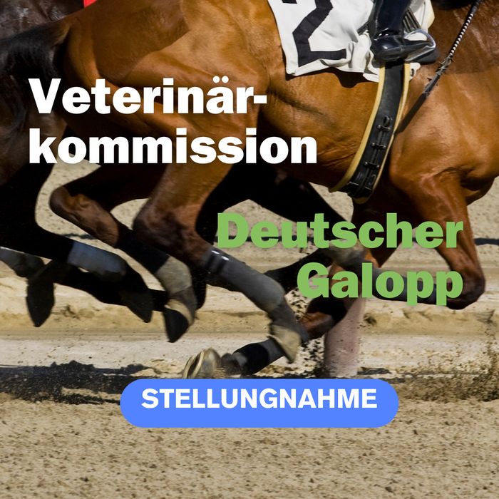 img vet dt galopp