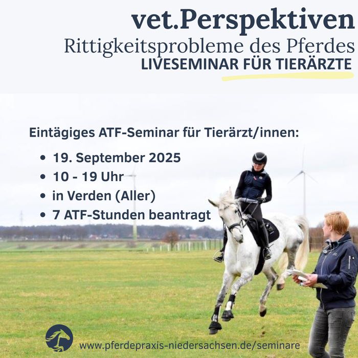 img vet persp rittigkeit