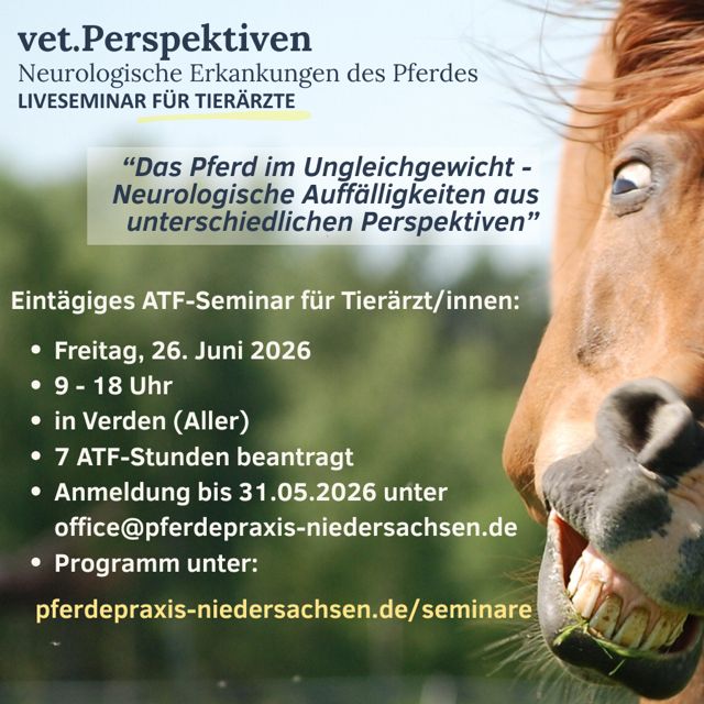 img vetperspektiven ungleichgewicht