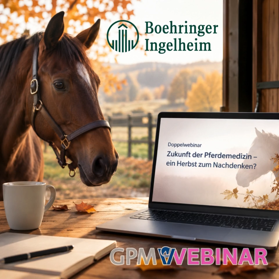 img webinar berufspolitik