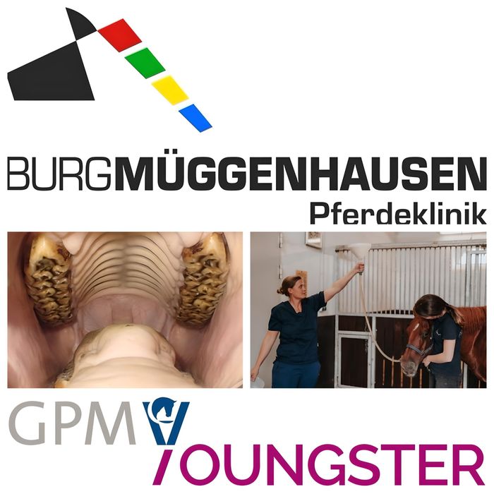 img youngster mueggenhausen