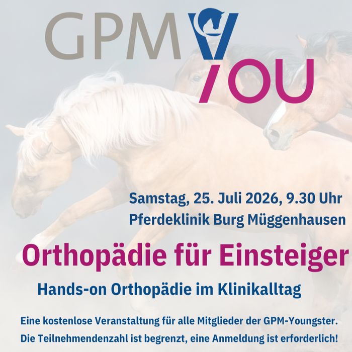 img youngster mueggenhausen 2026