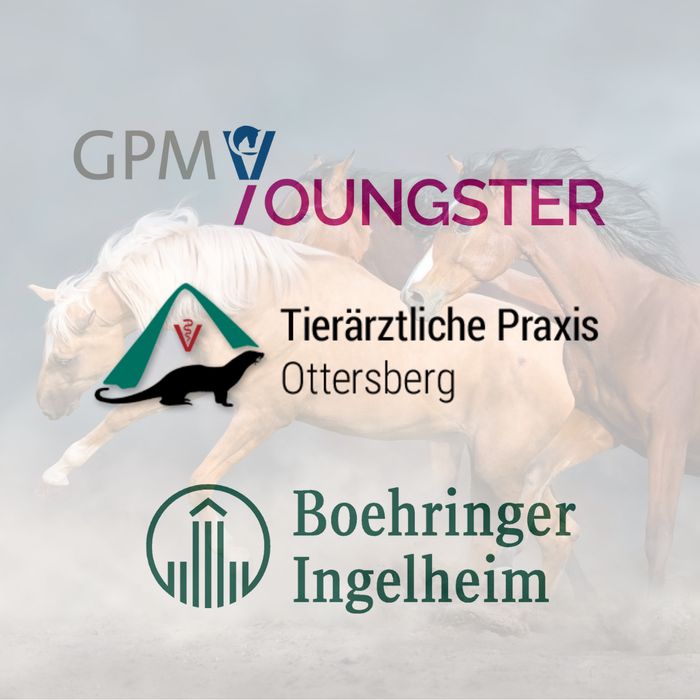 img youngster ottersberg